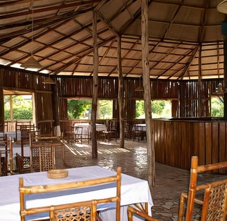 A serene view of Sita Joyeh Baobab Island, featuring towering baobab trees with their distinctive th