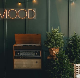 Eco-friendly wooden speaker