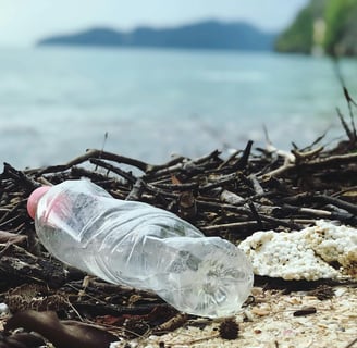 Plastic bottle in trash near sea