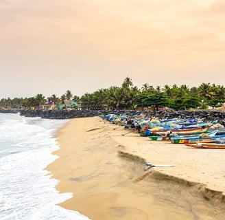 A Beach with boats parked and trees surrounding the beach 