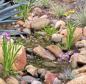 bubbling stony brook with eco-friendly foliage