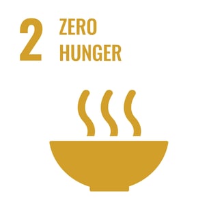 SDG 2