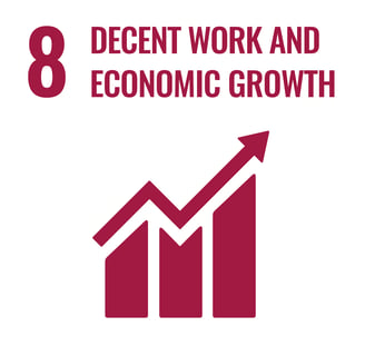 SDG 8