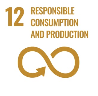 SDG 12