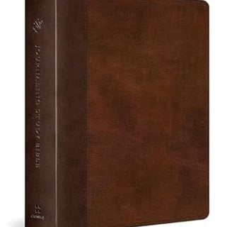 a brown leather book with a brown leather cover journaling bible