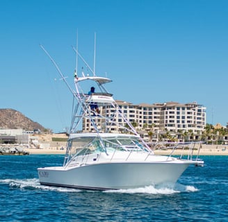 yate-pesca-cabo-express-31-los-cabos