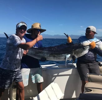 yate de pesca deportiva cabo express 45 marlin