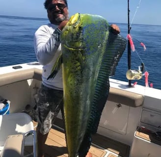 yate de pesca deportiva cabo express 45 dorado fish