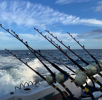 yate-de-pesca-deportiva-horizon-90-cabo-san-lucas reels