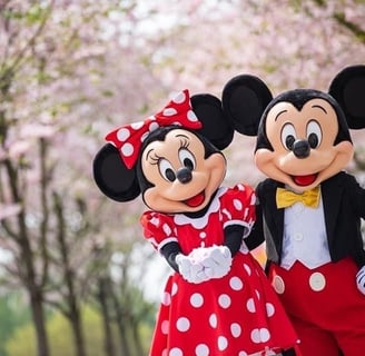 how to make a disney trip reveal video free
