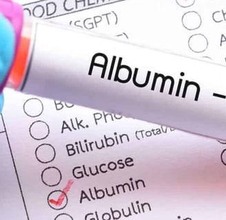 Albumin Testi Nedir? Karaciğer ve Böbrek Sağlığı İçin Önemi