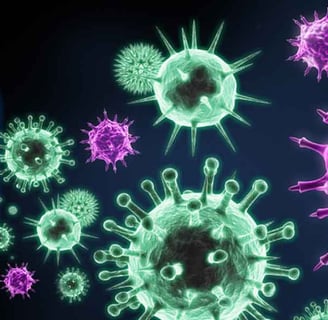 İmmünoglobulin testleri (IgG, IgA, IgM), bağışıklık sisteminin önemli kan testleridir.