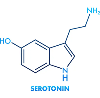 Serotonin testi, beyin ve vücut sağlığı için önemli bir nörotransmitter olan serotonin seviyelerini ölçen bir testtir.