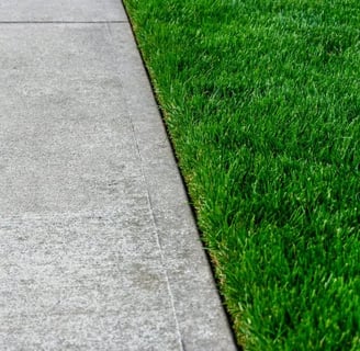 a clean, straight line between a grass yard and the sidewalk pavement