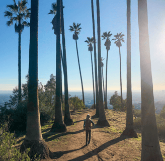 outdoor hiking