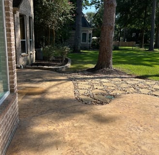 Concrete that has been Pressure and Soft Washed after heavy Mold and Dirt