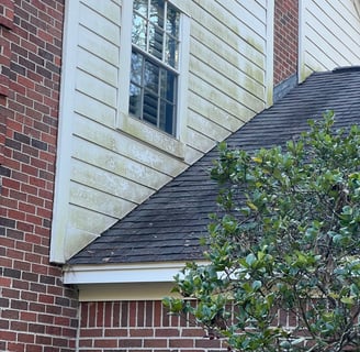 Mildew on House The Woodlands