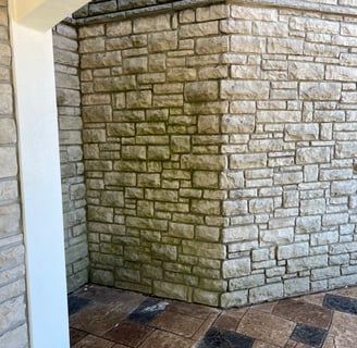 Mildew on Stone