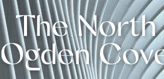 a book cover with a white background and a white background