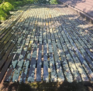 Deck before power wash