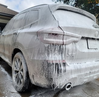 Exterior Detailing Image “Professional mobile car detailing service washing and waxing"