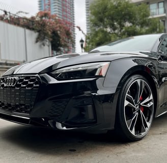 Exterior Detailing Image “Professional mobile car detailing service washing and waxing"