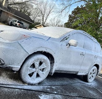 Exterior Detailing Image “Professional mobile car detailing service washing and waxing"