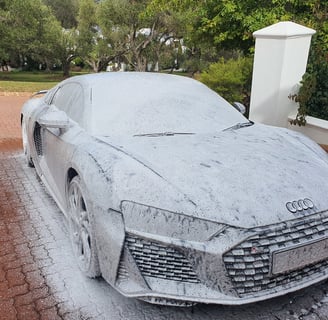 Exterior Detailing Image “Professional mobile car detailing service washing and waxing"