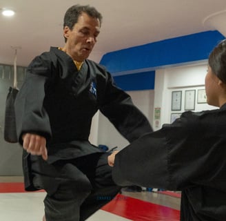 hombre practicando artes marciales en narvarte