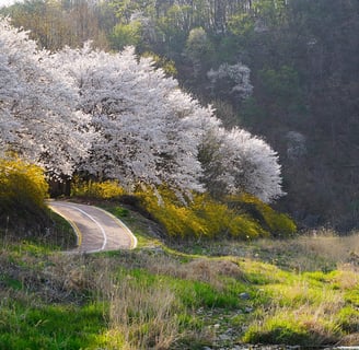 Top vacation spots for May