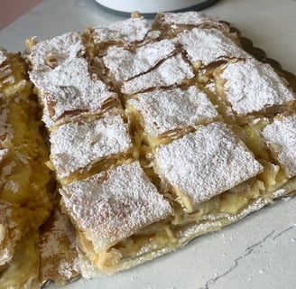 mini diplomatici
