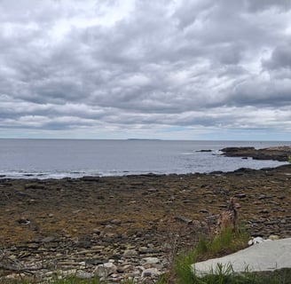 A photo showing the rocky Maine coast and ocean