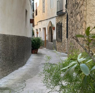 Calle Letur