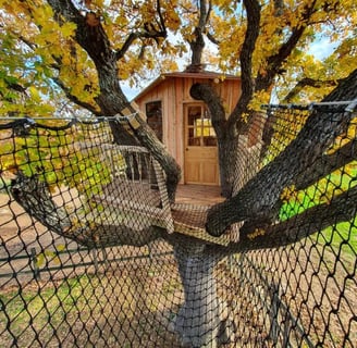 Cabane dans un arbres avec un filet suspendu