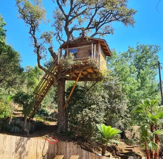 cabane dans les arbres au desus d'une piscine