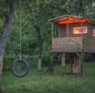 Cabane sur pilotis construite autour d'un arbre