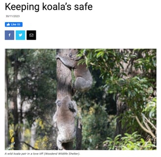 Keeping Koala's Safe
