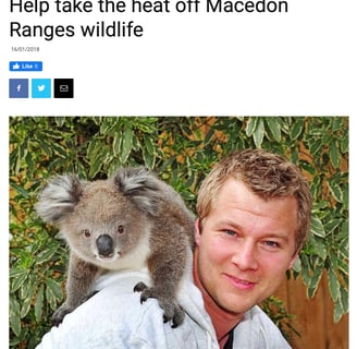 Help Take The Heat Off Macedon Ranges Wildlife