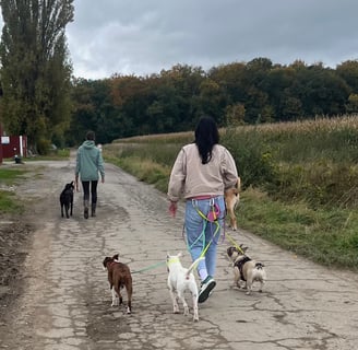 Social Walk auf einem Feldweg
