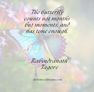 "The butterfly counts not months but moments."