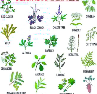 Best Medicinal Trees