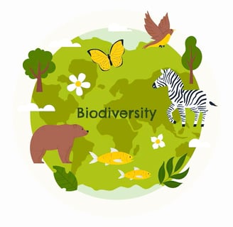 Protecting Biodiversity