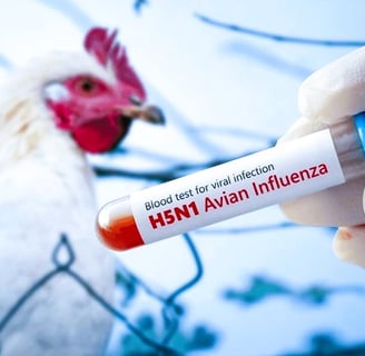 Bird Flu