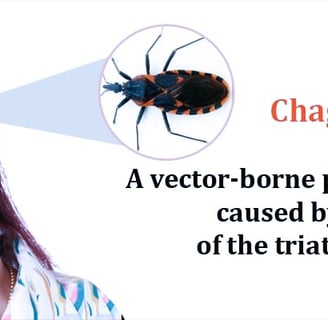 Chagas Disease