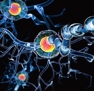 encephalitis