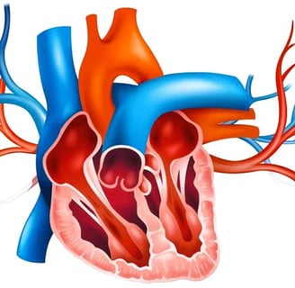 Heart Valve Disease