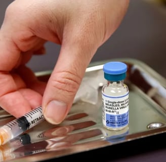 Understanding Rubella