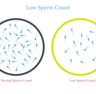 Sperm Futility Calculation