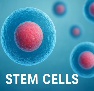 stem cells