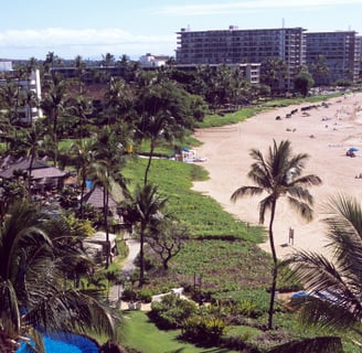 a view of a beach in Hawaii with palm trees and a pool